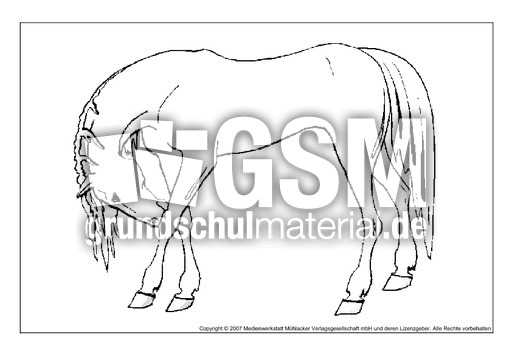 Pferd-5.pdf